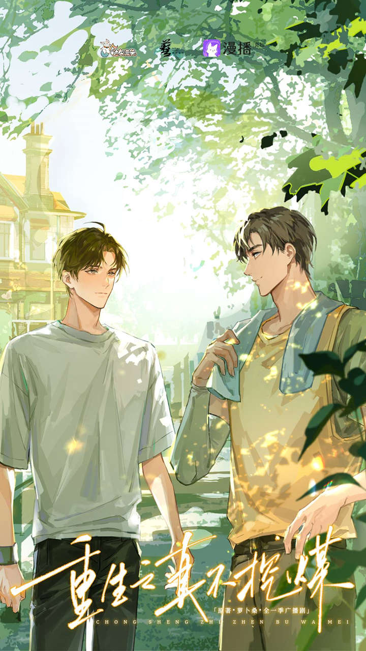 重生之真不挖煤